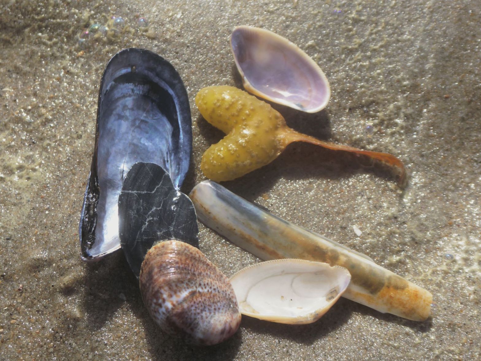 Zielsichere Textgestaltung Reisen, Tourismus, Destinationen - AuFs WoRt