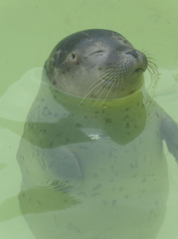 Zielsichere Textgestaltung Reisen, Tourismus, Destinationen - AuFs WoRt