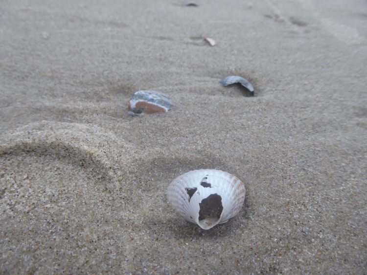 Zielsichere Textgestaltung Reisen, Tourismus, Destinationen - AuFs WoRt