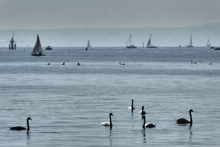 Textgestaltung für Destinationen, DMO, Hotel - AuFs WoRt