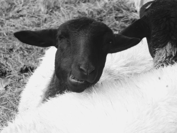 Texte schreiben lassen für Destination, DMO, Hotel - AuFs WoRt