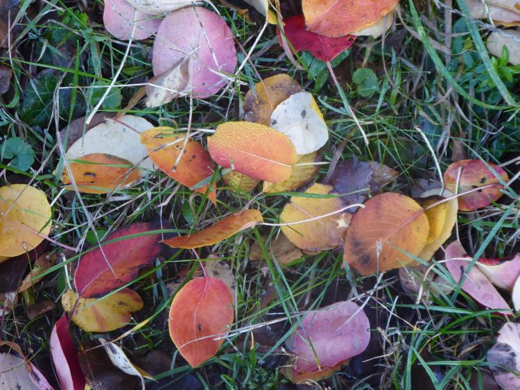 Texterin in Freiburg und Freelancerin Text