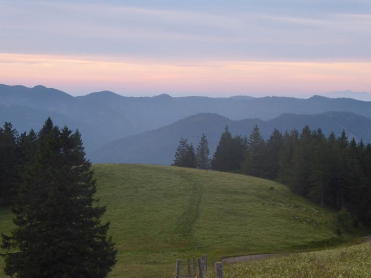 Texter Freiburg AuFs WoRt für Text & WortArt