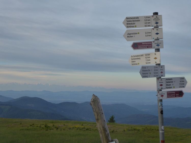 Texter Freiburg AuFs WoRt für Text & WortArt