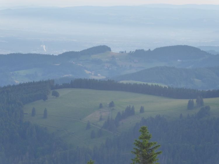 Texter Freiburg AuFs WoRt für Text & WortArt