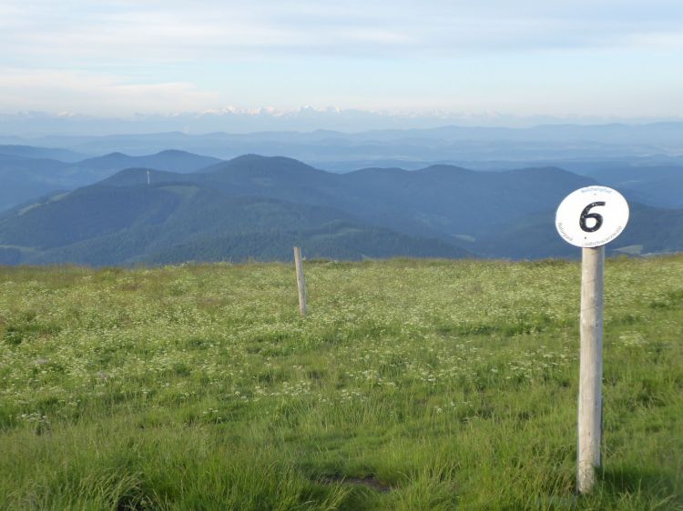 Texter Freiburg AuFs WoRt für Text & WortArt