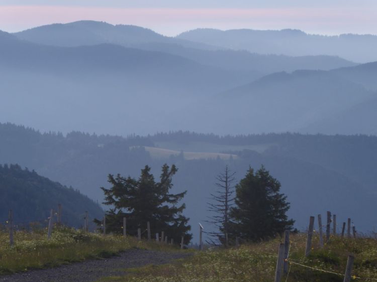Texter Freiburg AuFs WoRt für Text & WortArt
