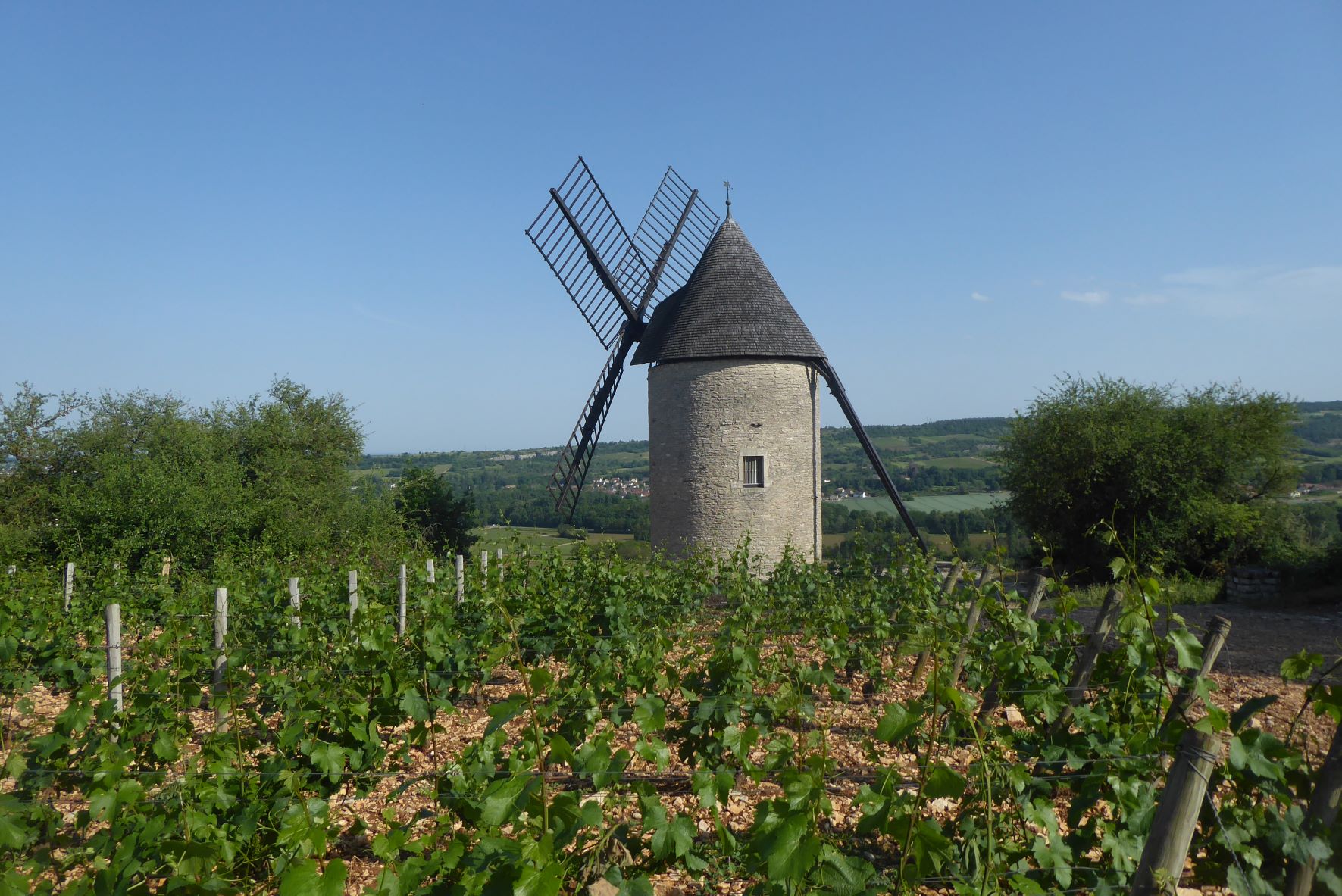 Windmühle Sorine in Santenay