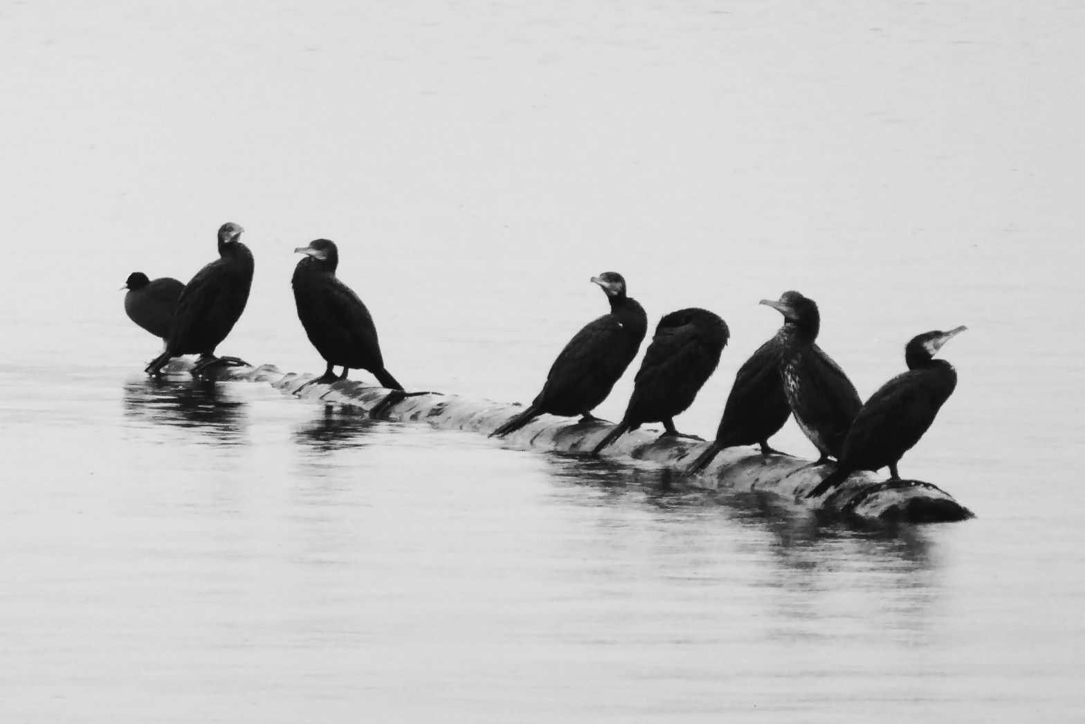 AuFs WoRt BildArt Luzern